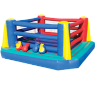 Party Boxing Ring Rentals in Wallace