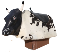 Birthday Party Mechanical Bull Rentals in Peach Orchard